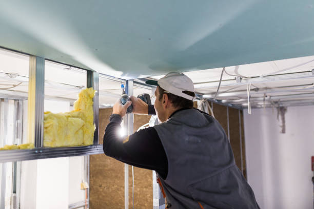 Types of Insulation We Offer in Cheyenne, WY